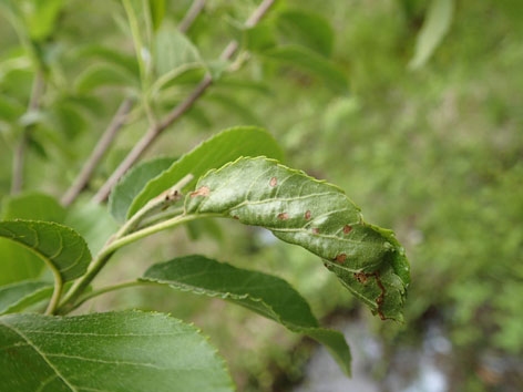 P5070012