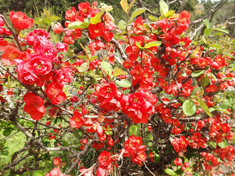 P4090029
