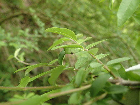 P5030042