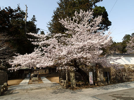 P4090008