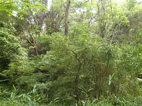 P5270001