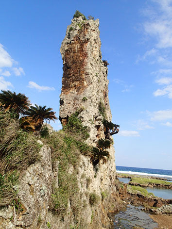 P3100028