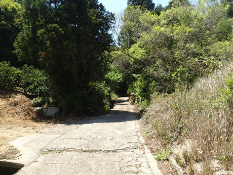 P5010120