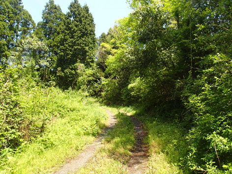 P4300083