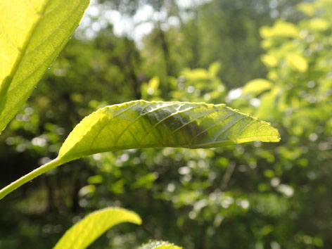 P5070040