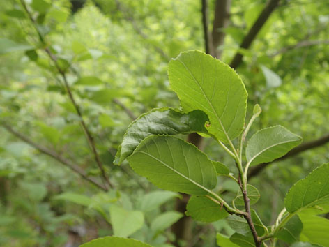 P5070010