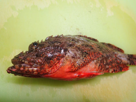 P9130020