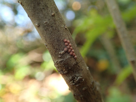 PB050039