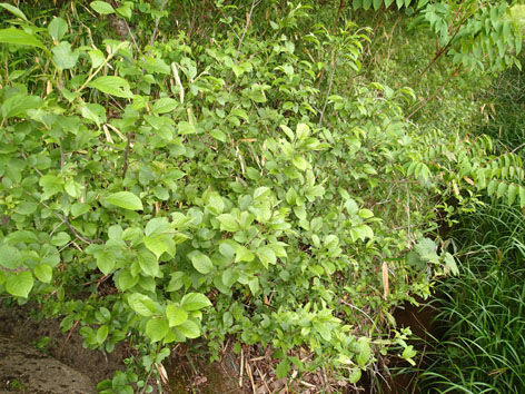 P5070001