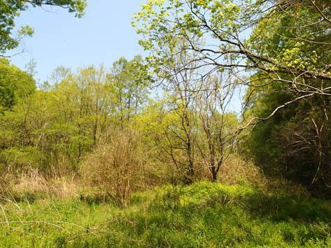 P4290007 (1)