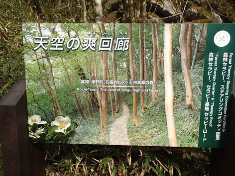 PB060086