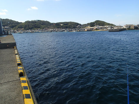 P9190186