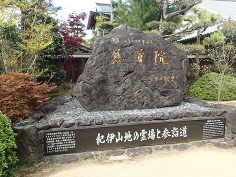 P4170051