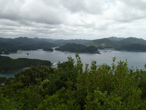P5240014