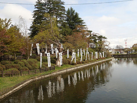 P5010018