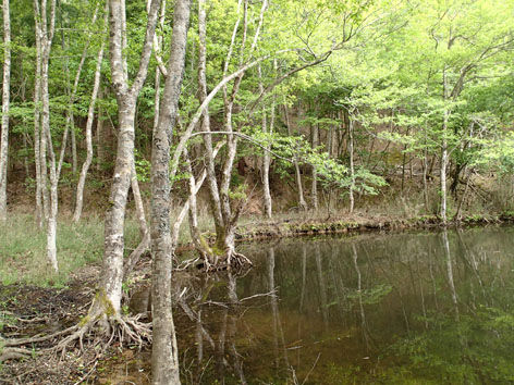 P5070017