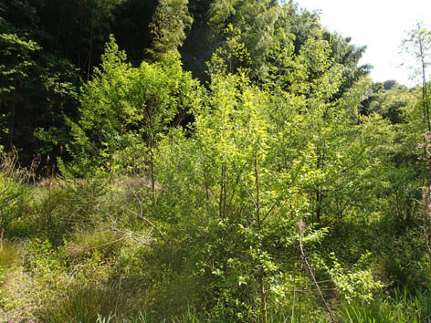 P4290015