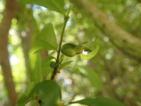 P5040062