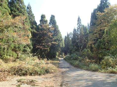 PB050031