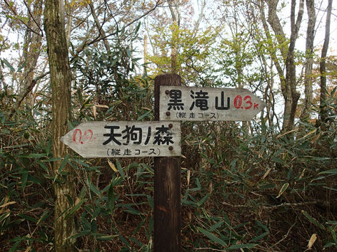 PB060069