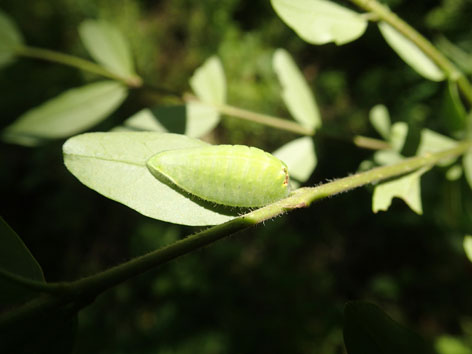 P5010112
