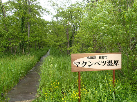 P6040094