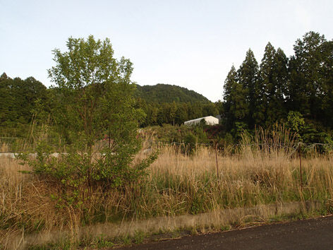 P5170050