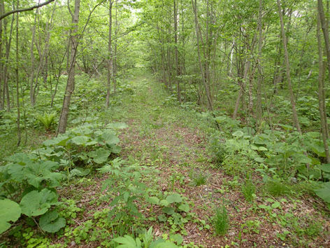 P5260010