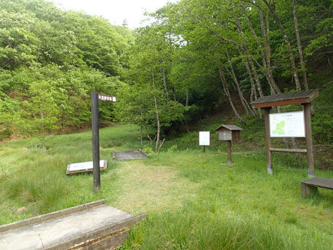 P5070048