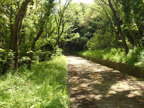 P4290029