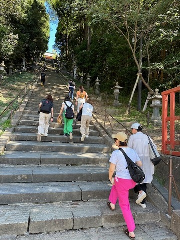 image3 (33)