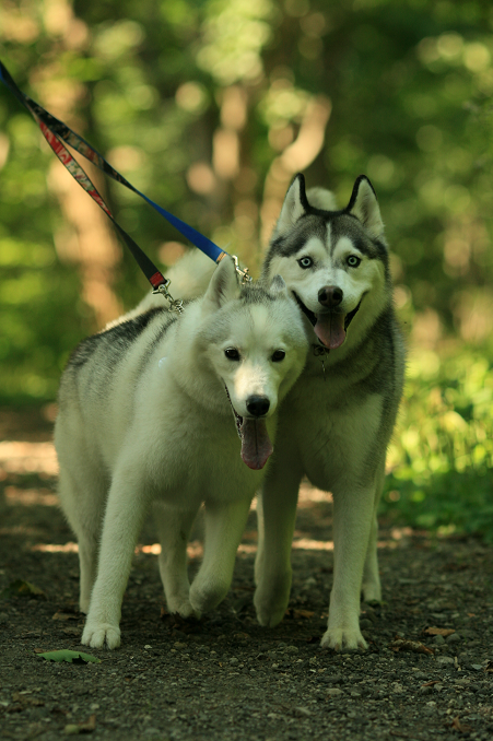 20090811_IMG_076828sk