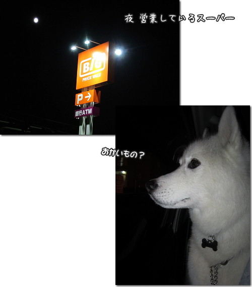 好きな時間に食べ好きな時間に寝て起きる生活 犬たちとjubilations 好きな時間に食べ好きな時間に寝て起きる生活 犬たちとjubilations