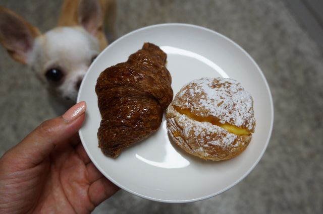 ドンク ミニワン 彩華のお気楽ブログ
