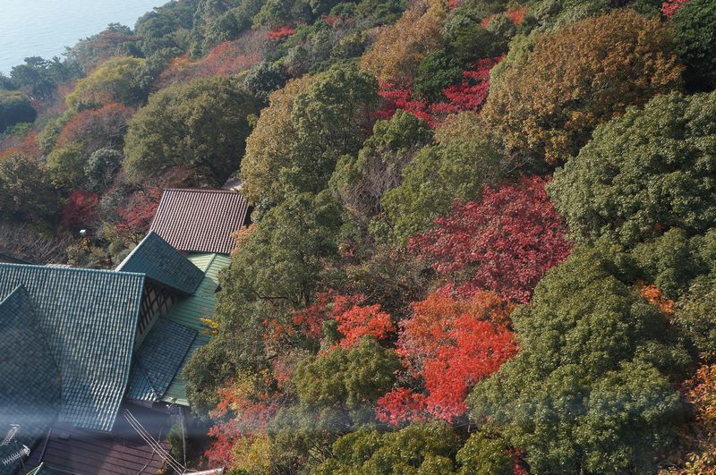須磨浦公園 彩華のお気楽ブログ