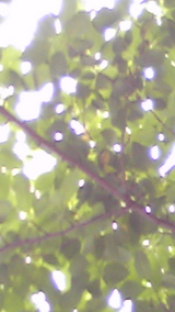 01f65b08.jpg