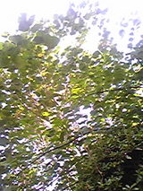 7e125761.jpg
