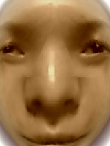 8a8da29e.jpg