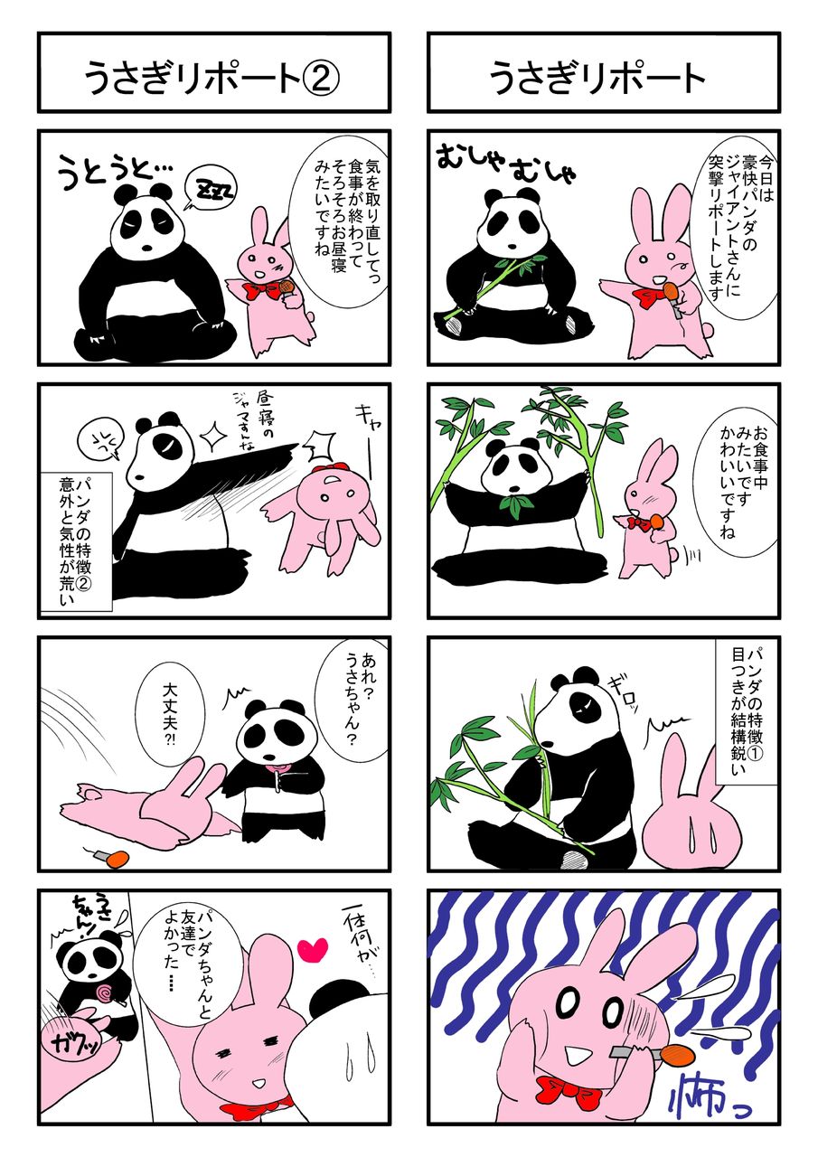 パンダ4コマ その5 うさぎレポート編 たまご4コマ漫画blog パンダ4コマ その5 うさぎレポート編 たまご4コマ漫画blog