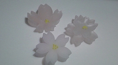 20100403175227