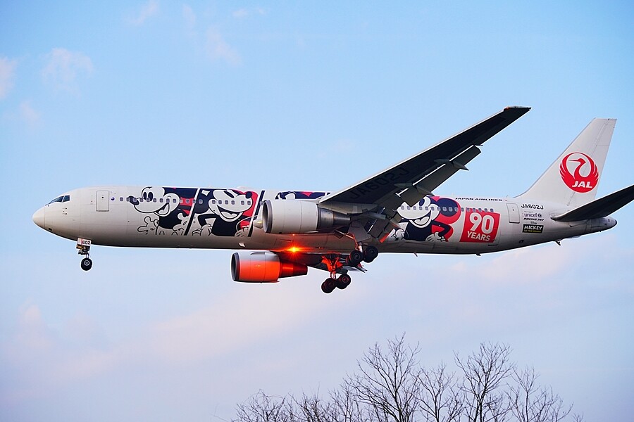 こつこつ記録 Jal B6 讃岐の鉄と空 時々海 こつこつ記録 Jal B6 讃岐の鉄と空 時々海