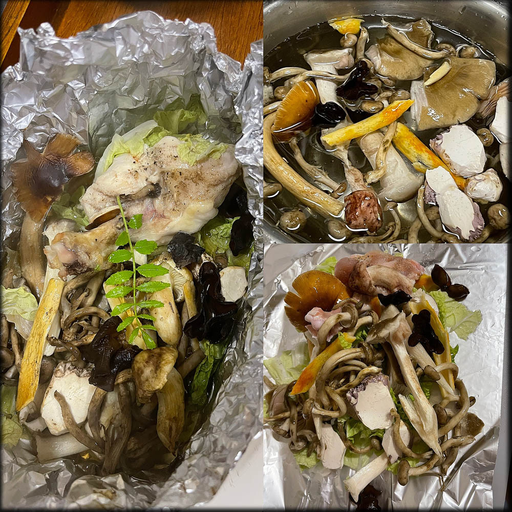 きのこ の後始末の1日でした きのこ好き うらしもじ きのこ の後始末の1日でした きのこ好き うらしもじ