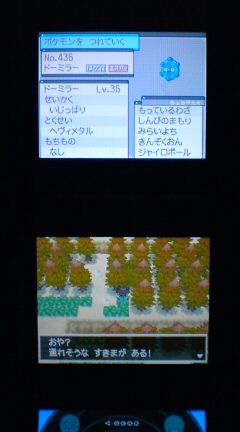 Nds ポケモンbw2 プレイ日記 その21 隠し穴 の探索 裏ブログ Urataidou部 Nds ポケモンbw2 プレイ日記 その21 隠し穴 の探索 裏ブログ Urataidou部