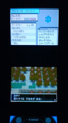 Nds ポケモンbw2 プレイ日記 その22 隠し穴 の探索 裏ブログ Urataidou部 Nds ポケモンbw2 プレイ日記 その22 隠し穴 の探索 裏ブログ Urataidou部