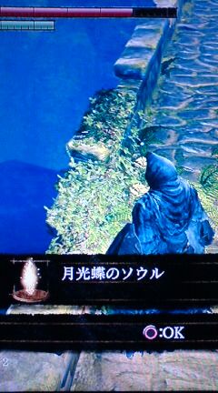 Ps3 Dark Souls ダークソウル プレイ日記 その9 裏ブログ Urataidou部