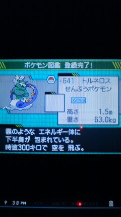 ポケモン ブラック ホワイト プレイ日記その５ 伝説ポケモンのトルネロスをゲット 裏ブログ Urataidou部
