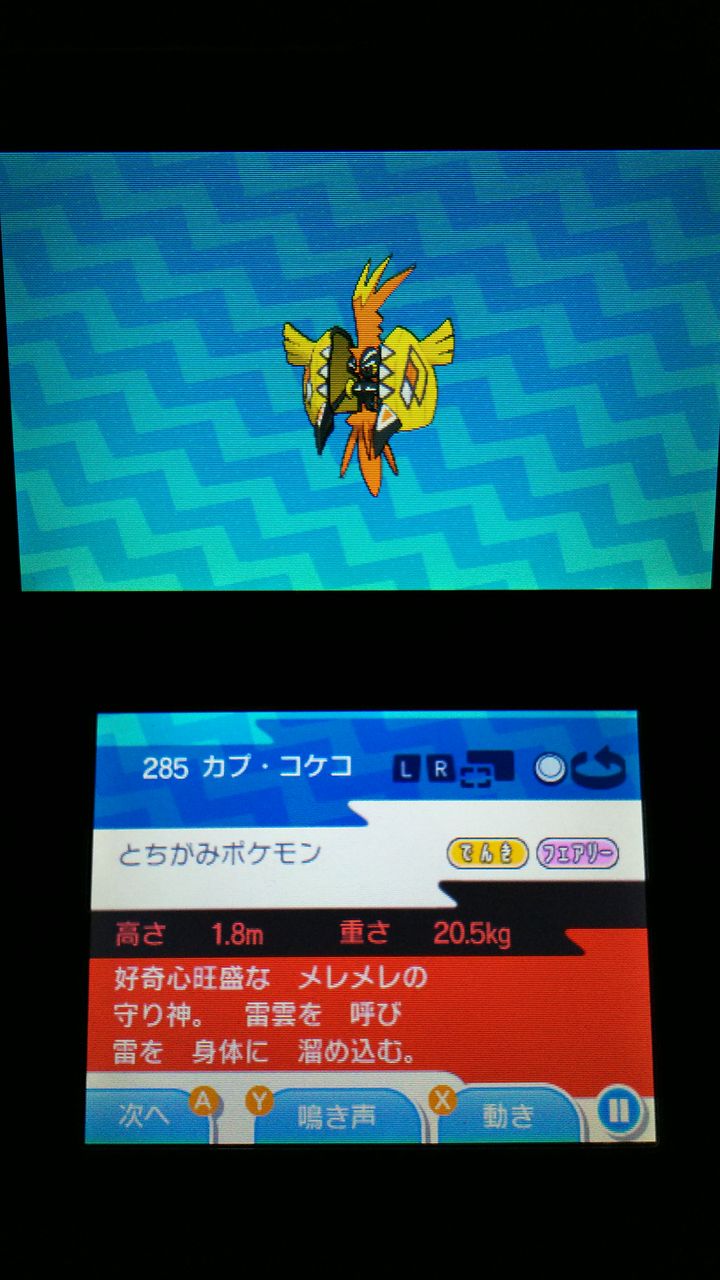 3ds ポケモン サン ムーン プレイ日記26 伝説ポケモン 裏ブログ Urataidou部 3ds ポケモン サン ムーン プレイ日記26 伝説ポケモン 裏ブログ Urataidou部