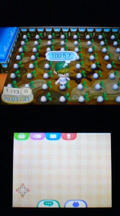 3ds とびだせどうぶつの森 プレイ日記 その63 カブ購入 バッジ 通信プレイ 裏ブログ Urataidou部