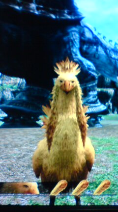 Ff13 いまさらのチョコボ情報まとめ 今作のチョコボには2本のモミアゲがある件 裏ブログ Urataidou部 Ff13 いまさらのチョコボ情報まとめ 今作のチョコボには2本のモミアゲがある件 裏ブログ Urataidou部