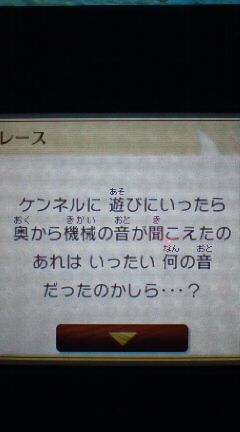 3ds Nintendogs Cats プレイ日記 3 10 木 裏ブログ Urataidou部 3ds Nintendogs Cats プレイ日記 3 10 木 裏ブログ Urataidou部